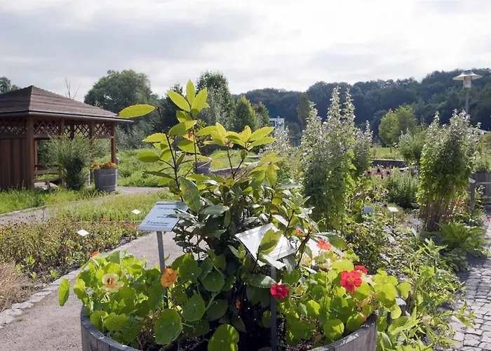 Hotels in Thermalbad Wiesenbad