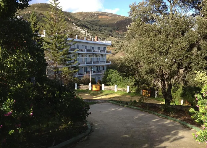 Hoteles cerca de 