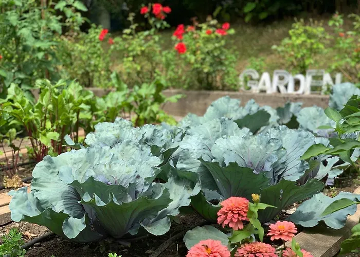 Hotel con jacuzzi a Comano Terme