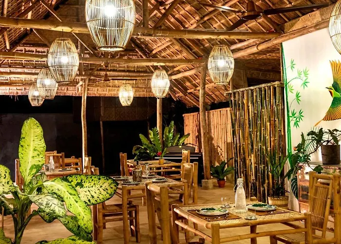 Three Little Birds Resort