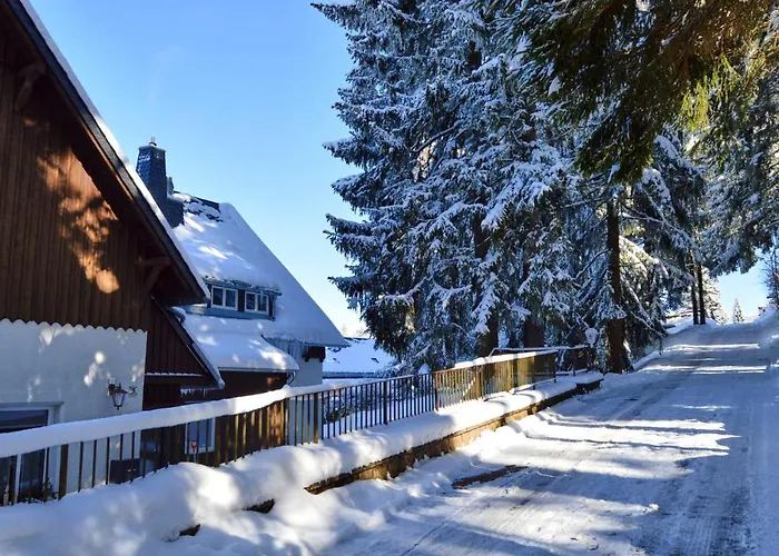 Hotels in Altenberg (Erzgebirge)