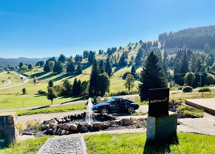 Hotels in Feldberg (Baden-Wurttemberg)