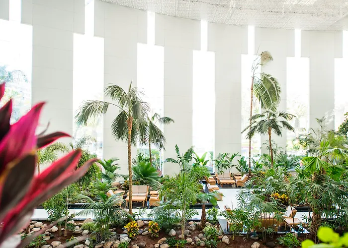 Spring Hotel Vulcano