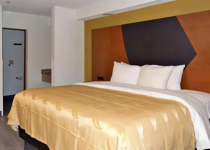 Quality Inn & Suites Raleigh North
