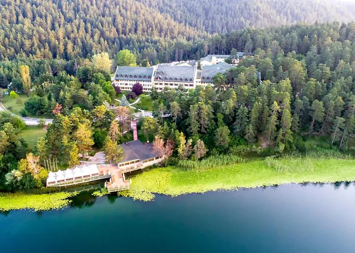 Hotels in Abant (Bolu)