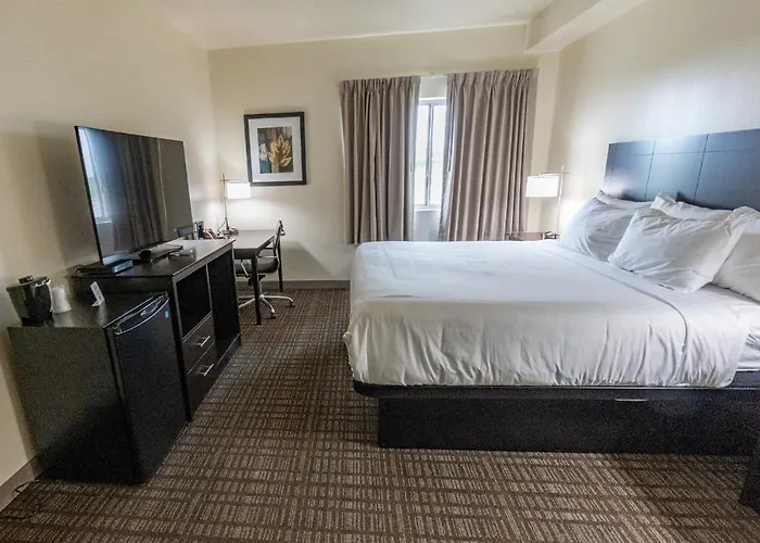 Sheldon Hotels
