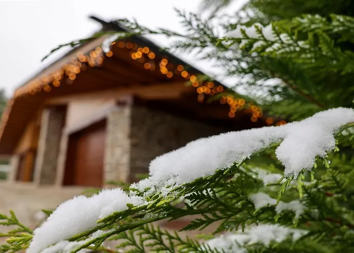 Villa's met privézwembad in Bansko
