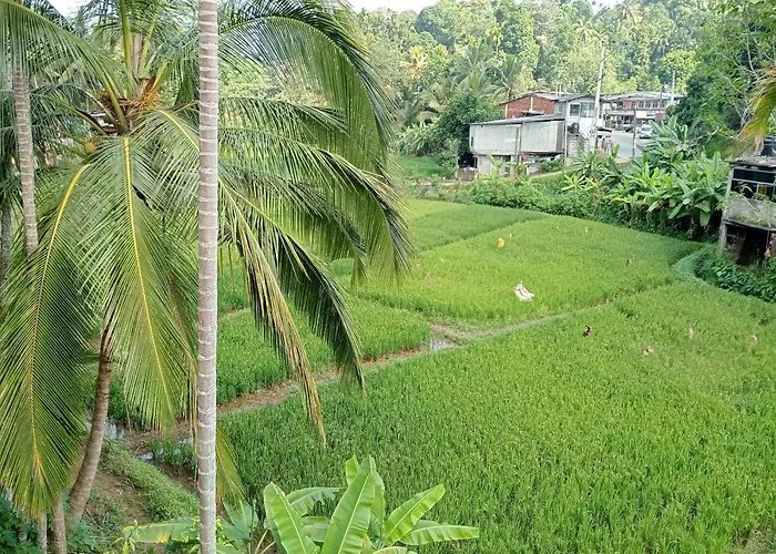 Power Zone Guest House