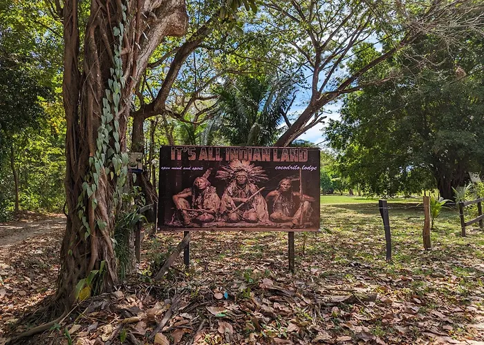 Spirit Of Jungle Lodge