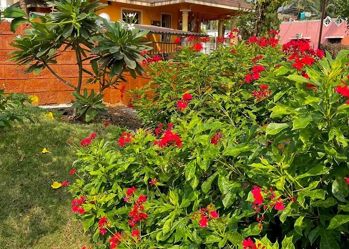Alibag Hotels