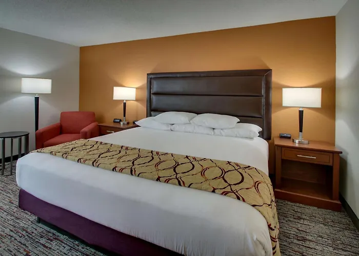 hotels near 