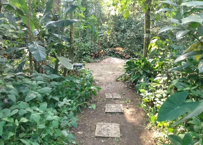 Hostel e Camping Rio das Pedras
