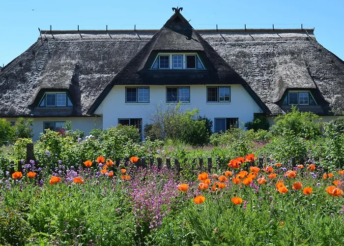 Hotels in Wieck