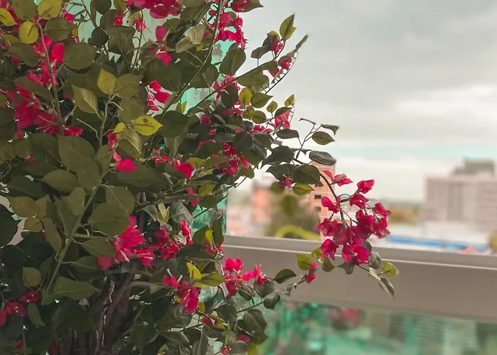 Hotéis de praia de Santa Maria (Rio Grande do Sul)