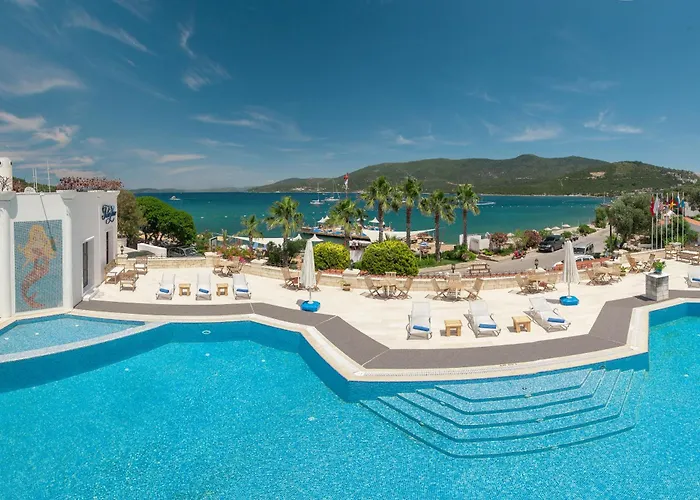 Torba Hotels