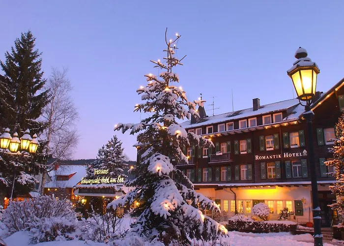 Strandhotels in Titisee-Neustadt