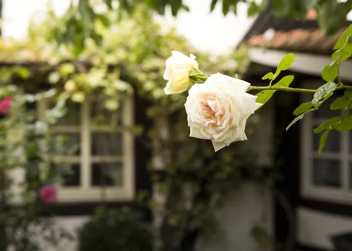 Hessisch Oldendorf Hotels