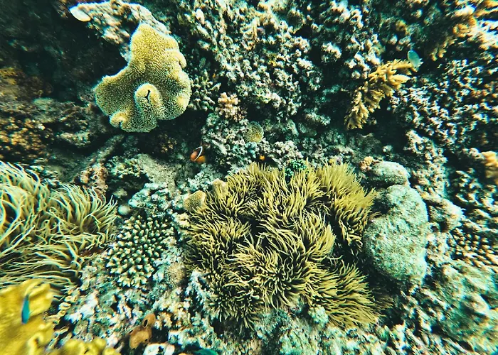 Coralview Island Resort
