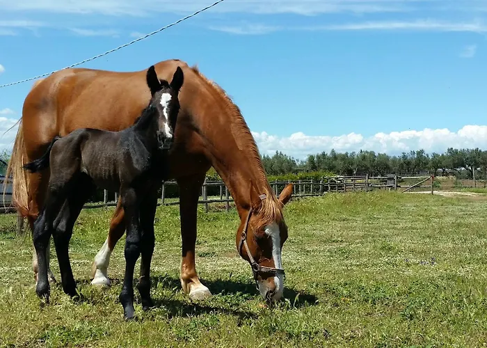 Ville familiari di Viterbo