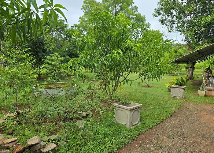 Ceylon Wilpattu Safaris & Lodging