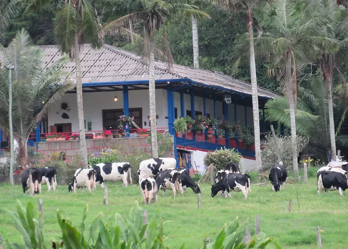 Reserva Guadalajara - Authentic Farm In Cocora Valley