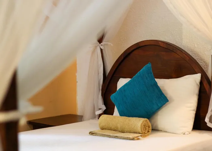 Xotic Resort