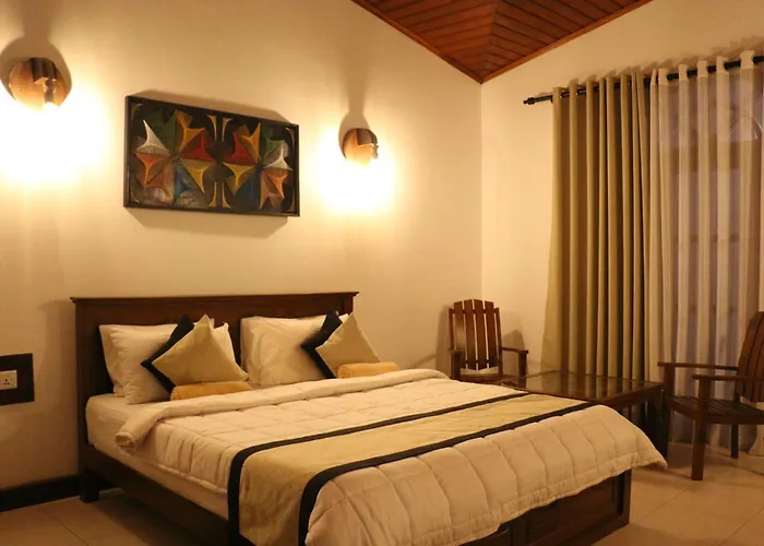 Xotic Resort