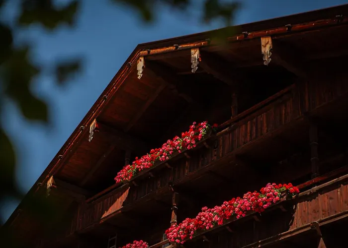 Alpbach Hotels