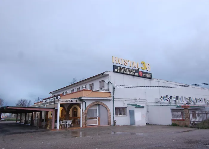 Hoteles cerca de 