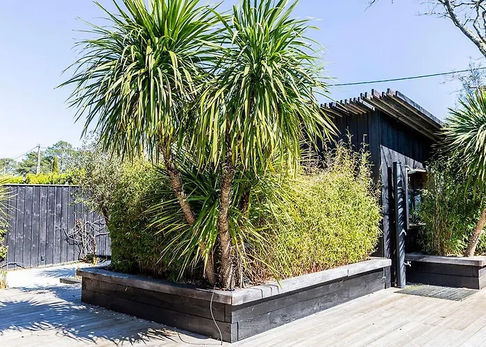 Villas familiales à Lège-Cap-Ferret