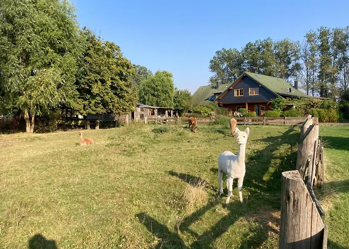 Hotels in Börgerende-Rethwisch