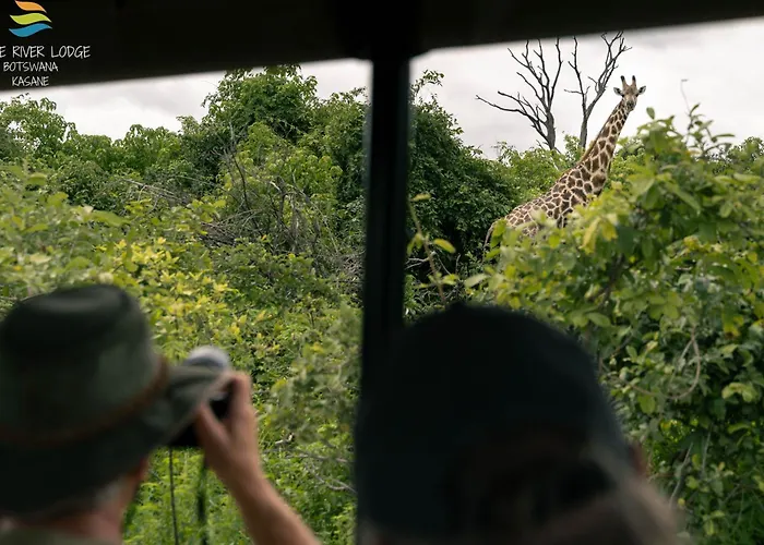 Chobe River Lodge