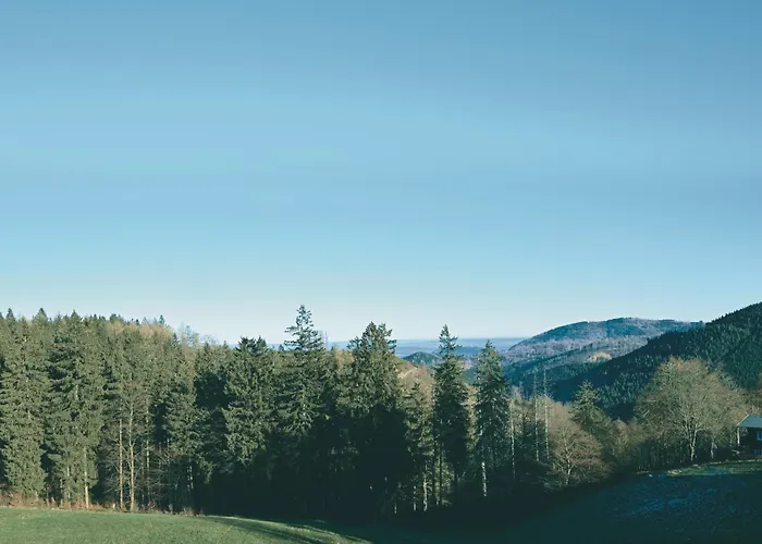 Luchs Quartier Hahnenklee