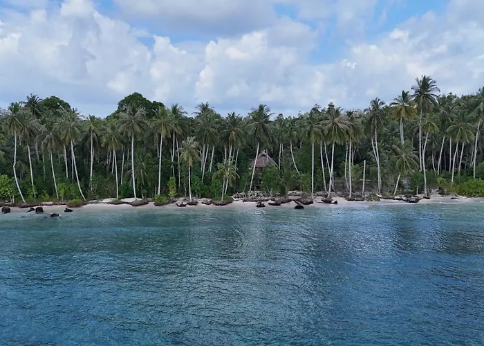 Mentawai Surfing Fishing