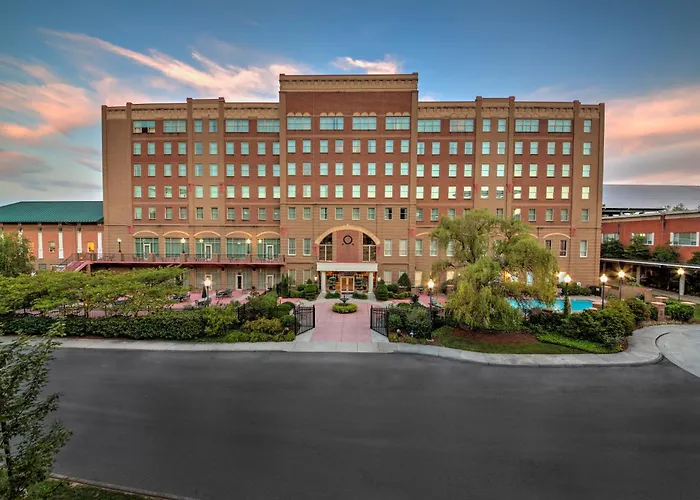 Johnson City Hotels