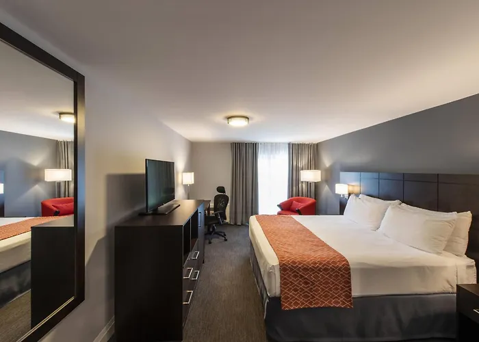 Collingwood Hotels