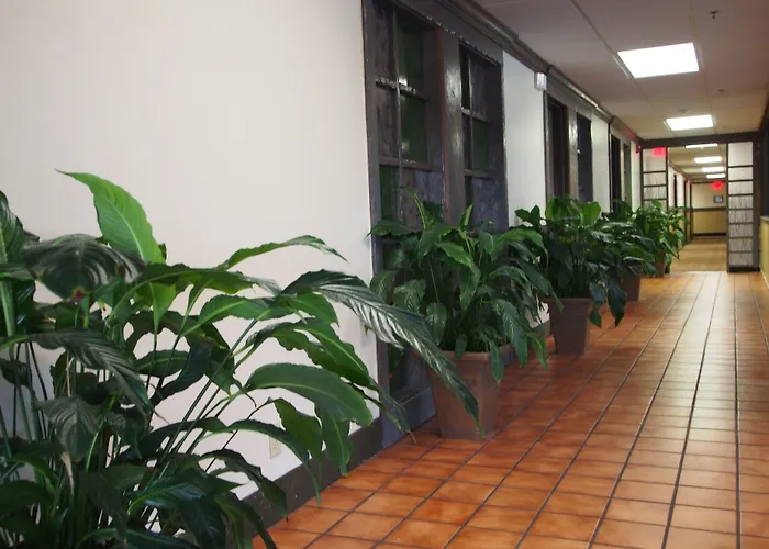 Coffeyville Hotels