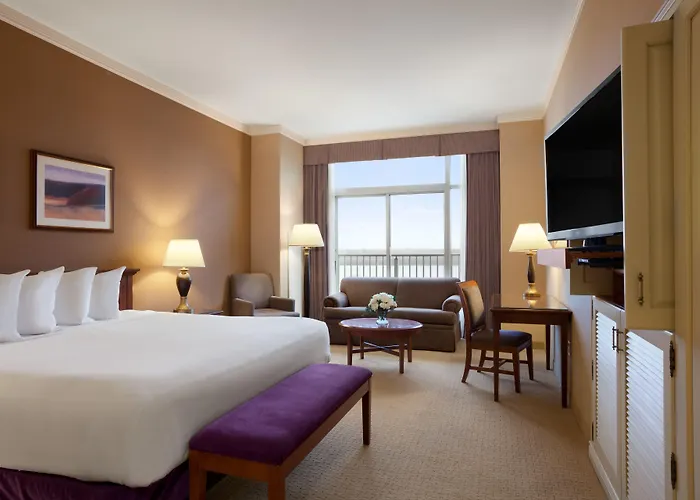 Metropolis Hotels
