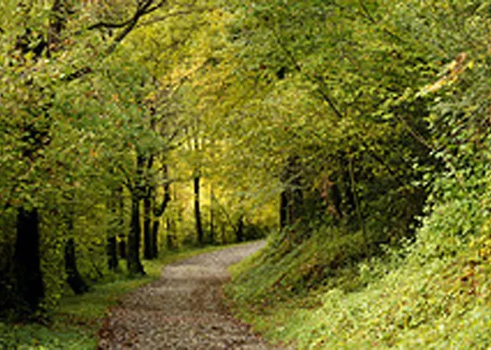 Sant Quirze De Besora Hotels