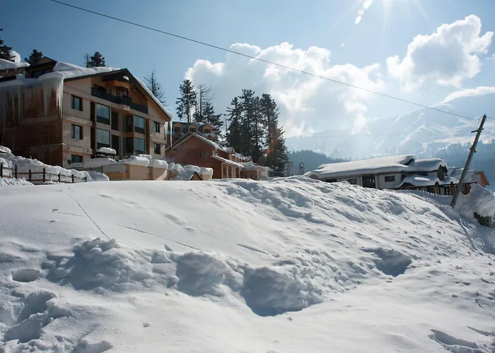 The Vintage Gulmarg