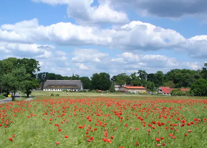 Hotels in Boek