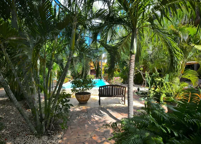 Aruba Hotels
