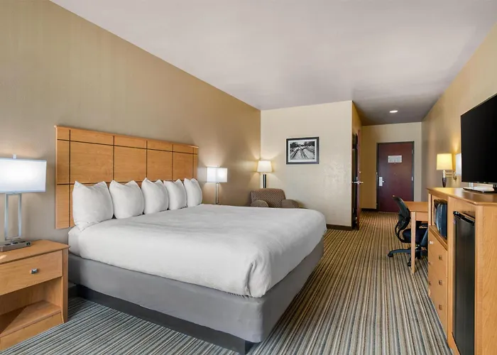 Shelby Hotels