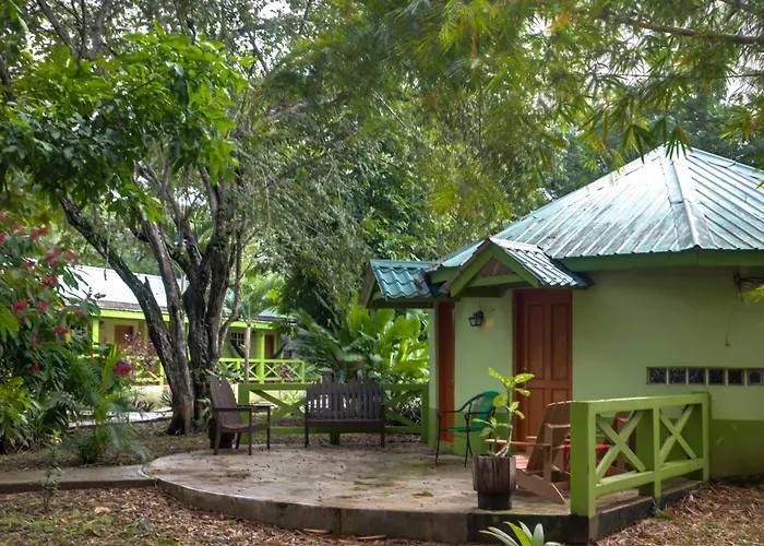 Midas Belize