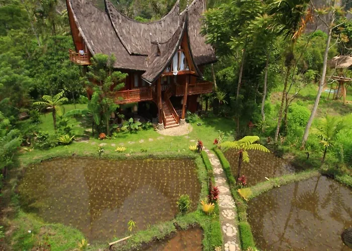 Bukittinggi Hotels