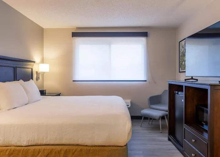 Sharon Hotels