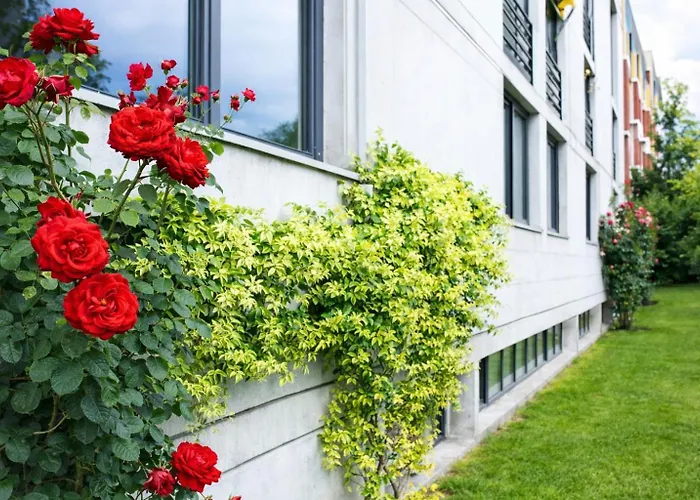 Hotel Nessi Locarno