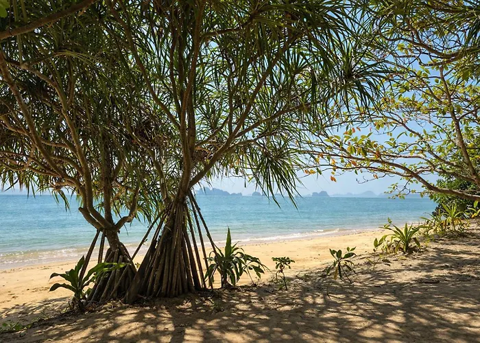 The Woods Beachfront Tent Yao Noi