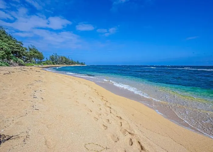 Islander On The Beach 333