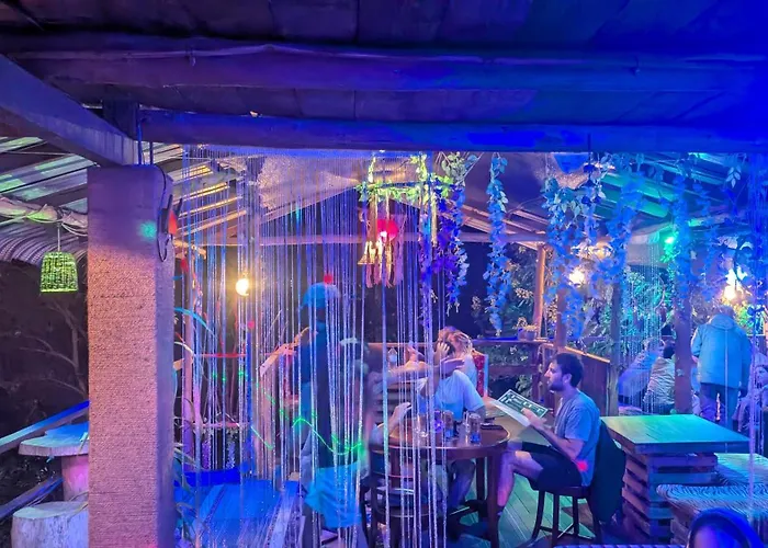 Hostal Tree House
